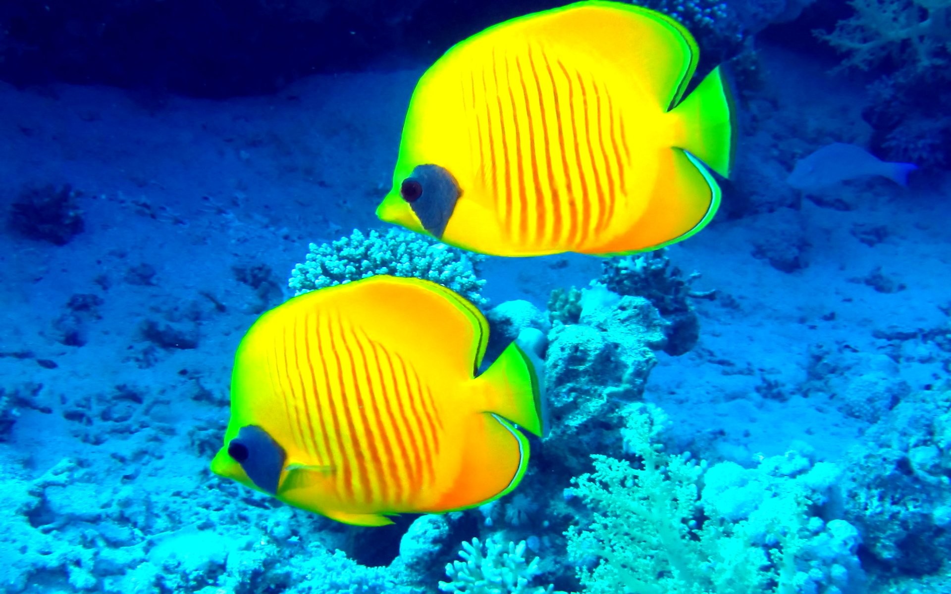 Zdjęcie wykonano 30 października 2017